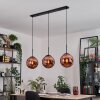 Gastor hanging light, globe light, pendant light coppery, 3-light sources