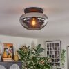 Mertola ceiling light, globe light Smoke-coloured, 1-light source