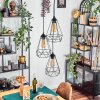 Kigali hanging light, pendant light black, 3-light sources