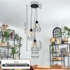 Kigali hanging light, pendant light black, 3-light sources