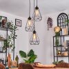 Kigali hanging light, pendant light black, 3-light sources