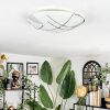 Davin ceiling light white, 1-light source