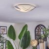 Davin ceiling light white, 1-light source