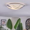 Davin ceiling light white, 1-light source