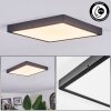 Finsrud ceiling light, Panel LED black, 1-light source