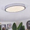 Kelan ceiling light LED silver, 1-light source