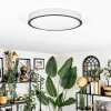 Kelan ceiling light LED silver, 1-light source