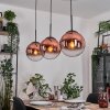 Gastor hanging light, globe light, pendant light clear, coppery, 3-light sources