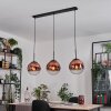 Gastor hanging light, globe light, pendant light clear, coppery, 3-light sources