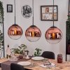 Gastor hanging light, globe light, pendant light clear, coppery, 3-light sources