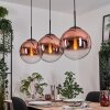 Gastor hanging light, globe light, pendant light clear, coppery, 3-light sources