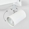 Gesteira ceiling light, ceiling spotlight white, 2-light sources