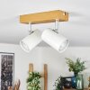 Gesteira ceiling light, ceiling spotlight chrome, Wood like finish, 2-light sources