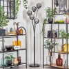 Gastor floor lamp chrome, Smoke-coloured, 5-light sources