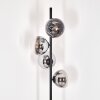 Gastor floor lamp chrome, clear, Smoke-coloured, 4-light sources