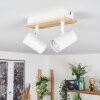 Gesteira ceiling light, ceiling spotlight Ecru, white, 2-light sources