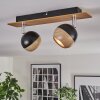 Haldor ceiling light, ceiling spotlight brown, chrome, black, 2-light sources