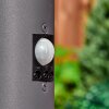 Sessa pedestal light, path light anthracite, 1-light source, Motion sensor