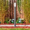 Caserta path light anthracite, 1-light source, Motion sensor