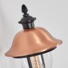 Gascon outdoor wall light, wall light copper, black, 1-light source, Motion sensor