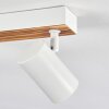 Gesteira ceiling light, ceiling spotlight Ecru, white, 6-light sources