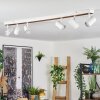 Gesteira ceiling light, ceiling spotlight Ecru, white, 6-light sources