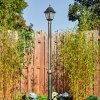 Naofe lamp post, path light gold, black, 1-light source