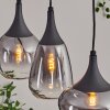 Maynal hanging light, globe light, pendant light clear, Smoke-coloured, 3-light sources