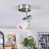 Davor ceiling light, ceiling spotlight chrome, matt nickel, 1-light source