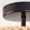 Boggsjo ceiling light black, 2-light sources