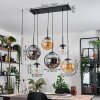 Gastor hanging light, globe light, pendant light Amber, clear, Smoke-coloured, 6-light sources