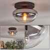 Mertola ceiling light, globe light clear, Smoke-coloured, 1-light source