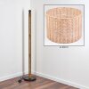 Cavaca floor lamp brown, Ecru, black, 1-light source