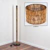 Cando floor lamp brown, Ecru, black, 1-light source