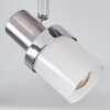 Davor ceiling light, ceiling spotlight chrome, matt nickel, 2-light sources