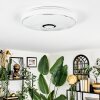 Cham ceiling light LED white, 1-light source, Remote control, Colour changer