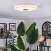 Cham ceiling light LED white, 1-light source, Remote control, Colour changer