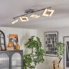 Madel ceiling light, pendant light black