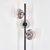 Ripoll floor lamp clear, Smoke-coloured, 3-light sources