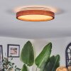 Sofo ceiling light, Panel LED white, 1-light source