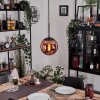 Gastor hanging light, globe light, pendant light coppery, 1-light source