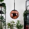 Gastor hanging light, globe light, pendant light coppery, 1-light source