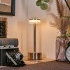 Viada desk lamp, table lamp LED chrome, matt nickel, 1-light source