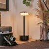 Viada desk lamp, table lamp LED black, 1-light source