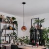 Gastor hanging light, globe light, pendant light clear, coppery, 1-light source