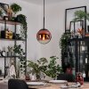 Gastor hanging light, globe light, pendant light clear, coppery, 1-light source