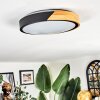 Cadaixo ceiling light, Panel LED Ecru, black, white, 1-light source