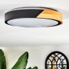 Cadaixo ceiling light, Panel LED Ecru, black, white, 1-light source