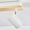 Gesteira ceiling light, ceiling spotlight Ecru, white, 6-light sources