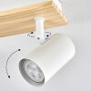 Gesteira ceiling light, globe light beige, 4-light sources